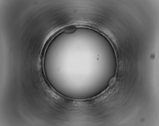 X0000101200928200806271347