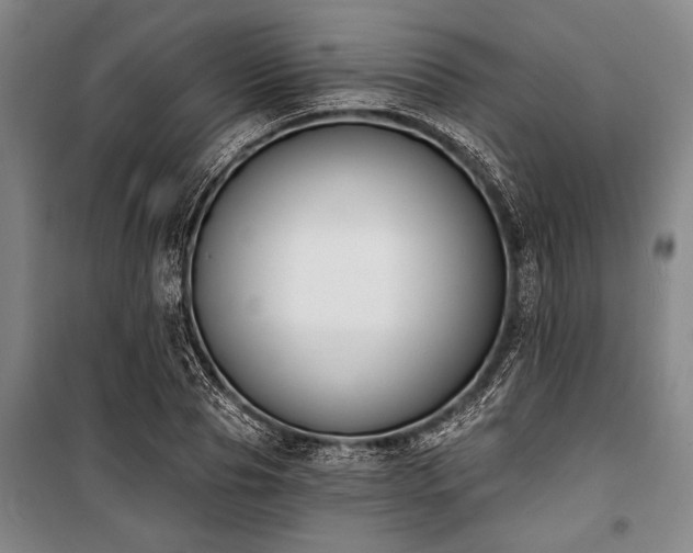 X0000101200929200806271347
