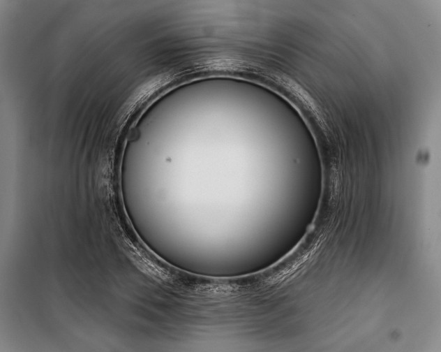 X0000101200930200806271347