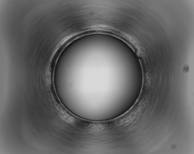 X0000101200931200806271347