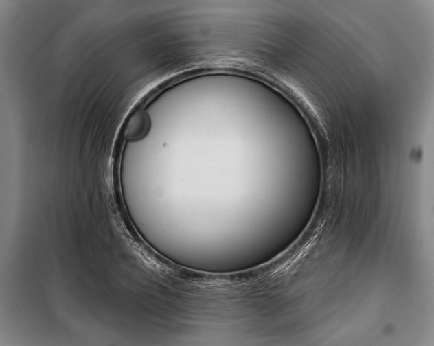 X0000101200932200806271347