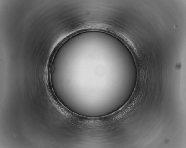 X0000101200936200806271347