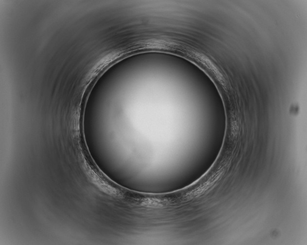 X0000101200938200806271347