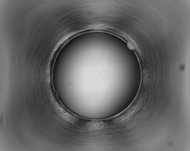 X0000101200939200806271347