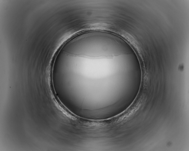 X0000101200941200806271348