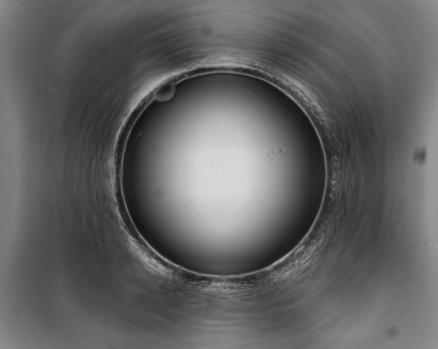 X0000101200942200806271348