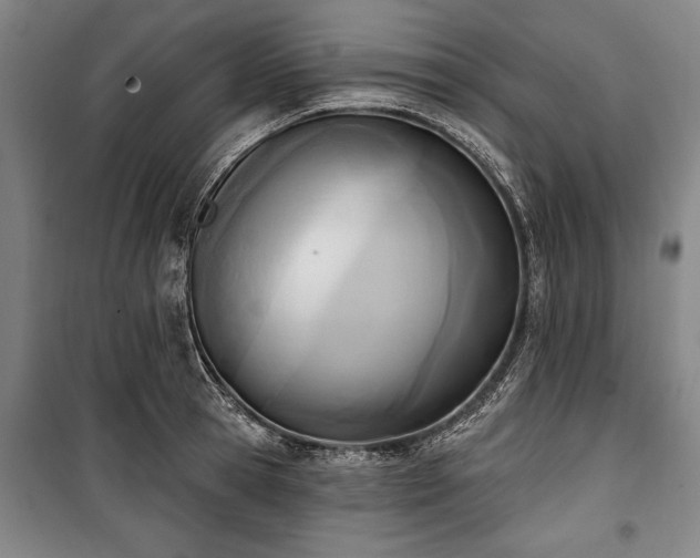 X0000101200945200806271348