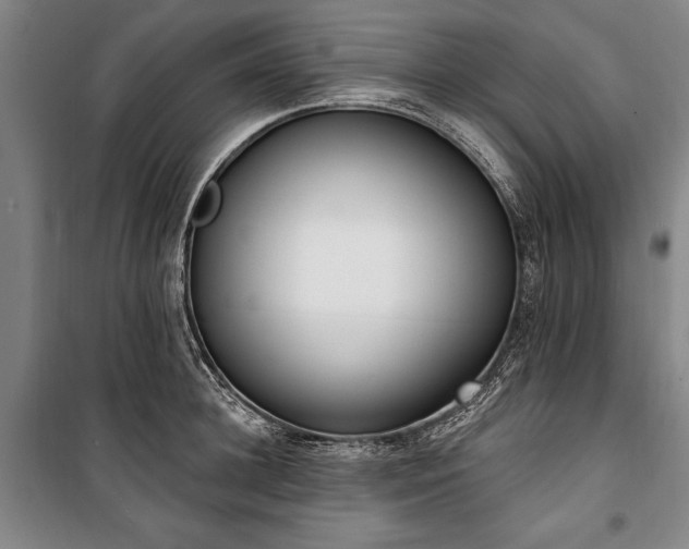 X0000101200948200806271348