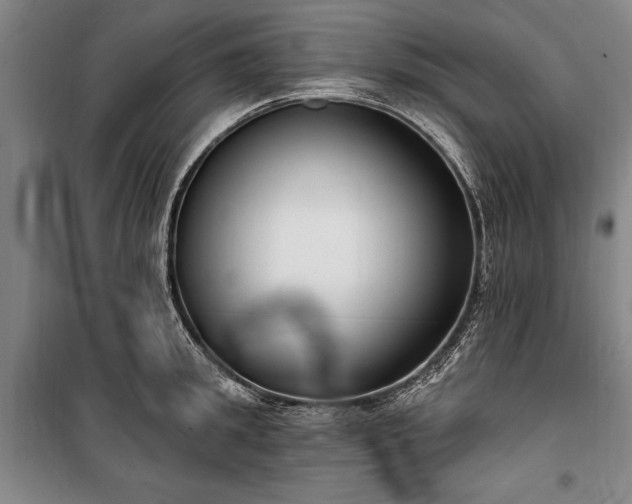 X0000101200949200806271348