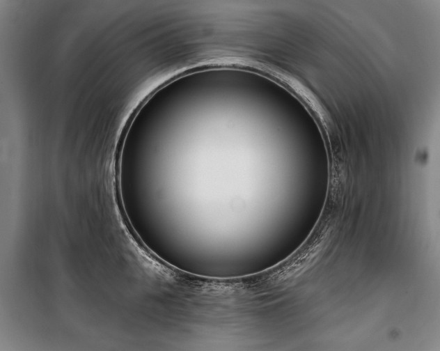 X0000101200951200806271348