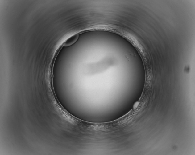 X0000101200952200806271348