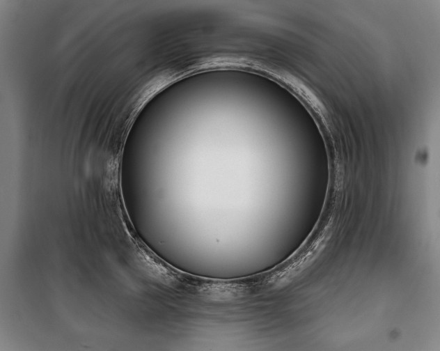 X0000101200953200806271348