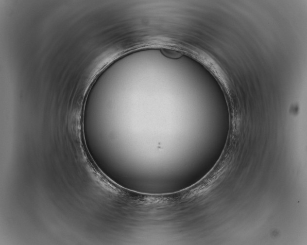 X0000101200954200806271348