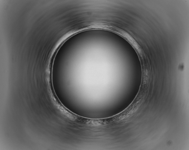 X0000101200955200806271348