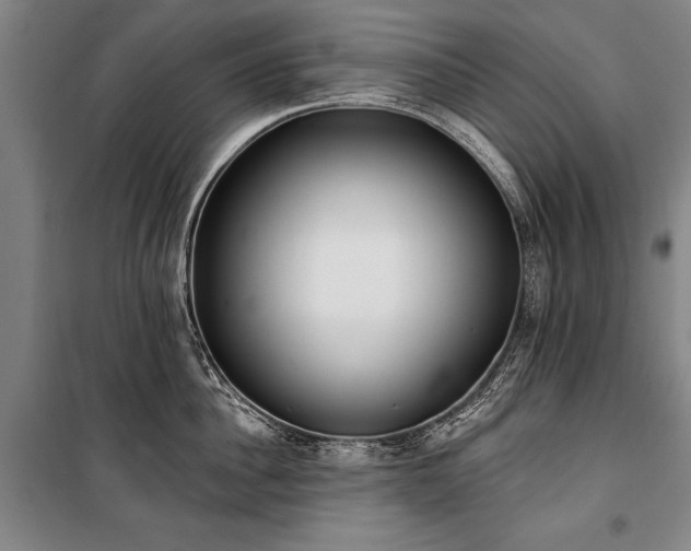 X0000101200956200806271348