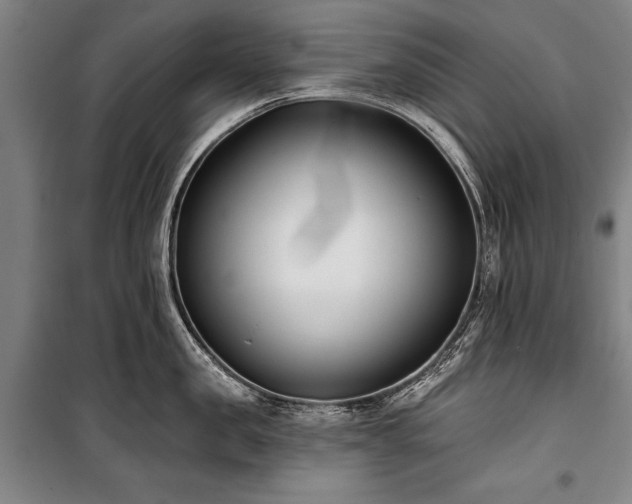 X0000101200957200806271348