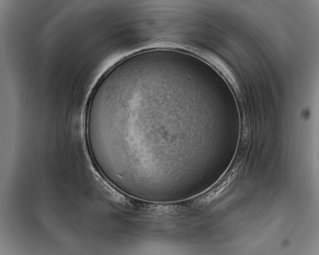 X0000101200958200806271348