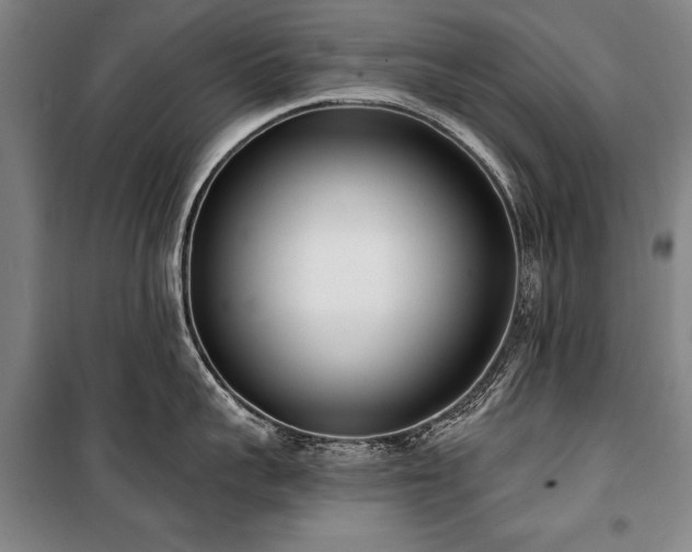 X0000101200959200806271348