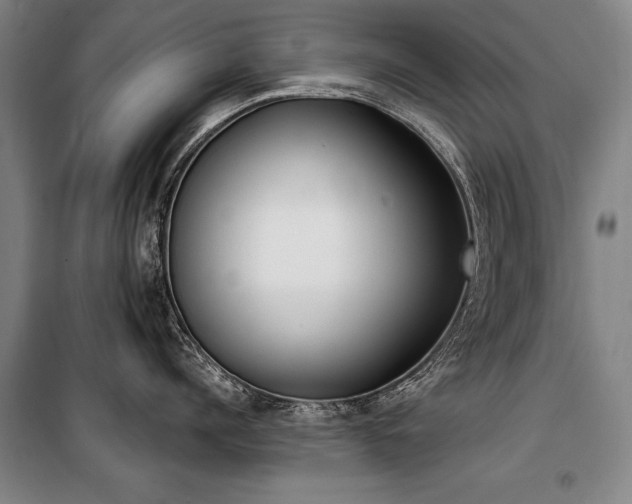 X0000101200960200806271348