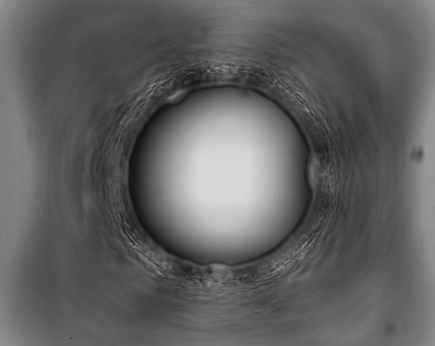 X0000101200961200806271347