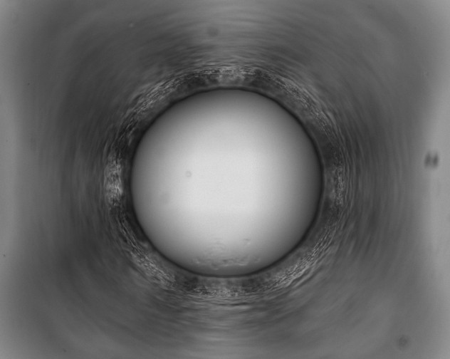 X0000101200962200806271347