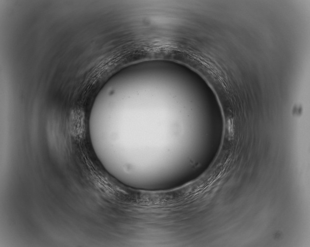 X0000101200963200806271347