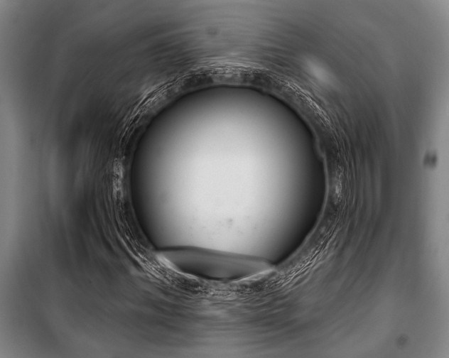 X0000101200964200806271347