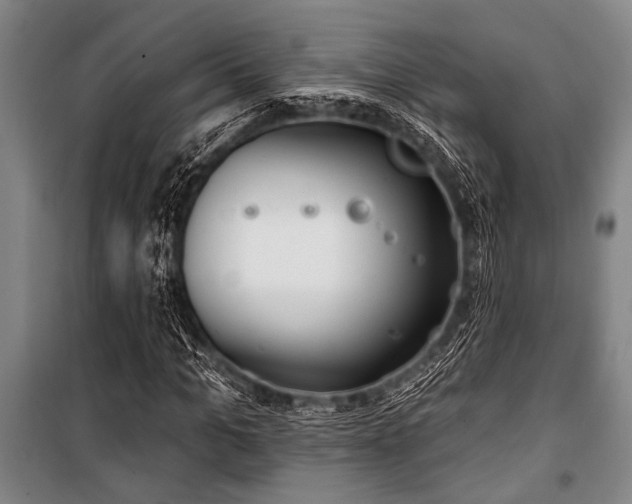 X0000101200965200806271347