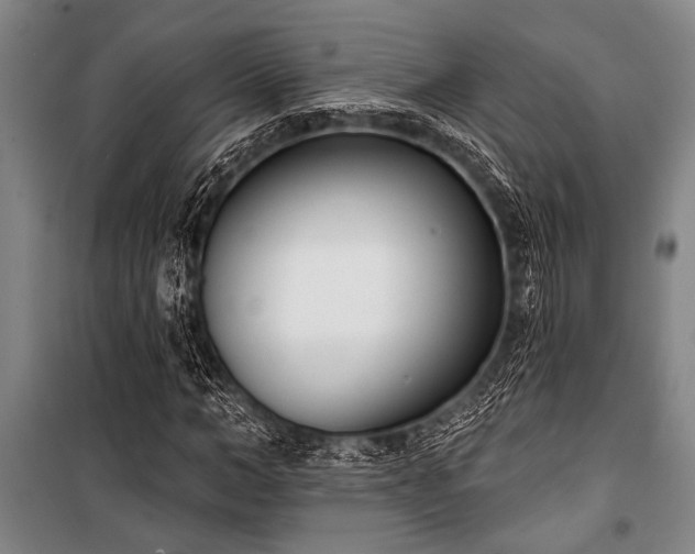X0000101200966200806271347