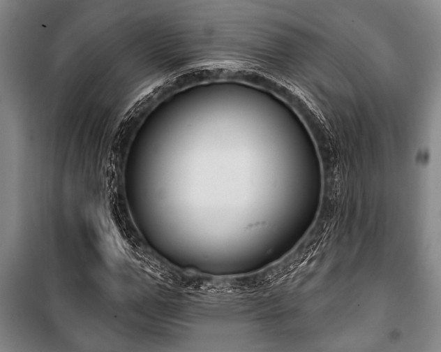 X0000101200967200806271347