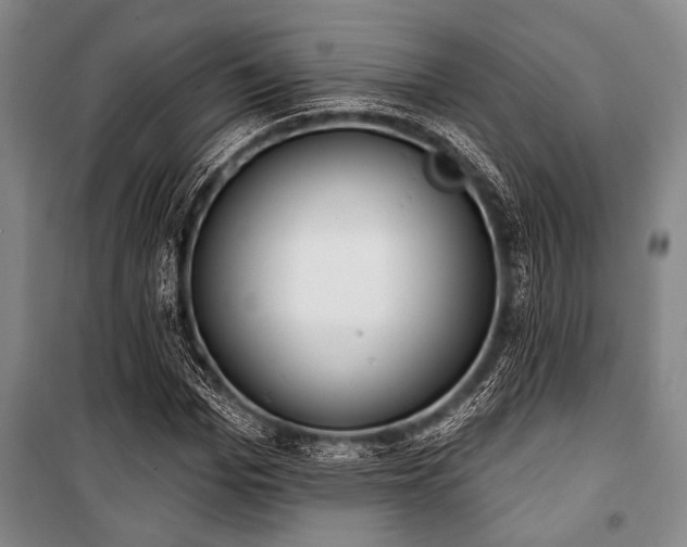 X0000101200969200806271347