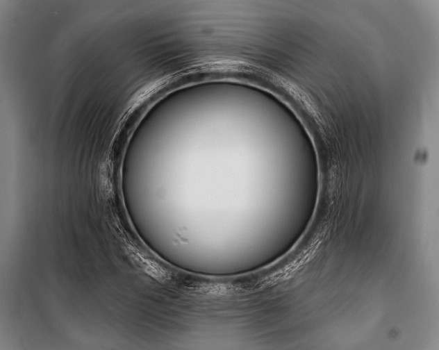 X0000101200970200806271347