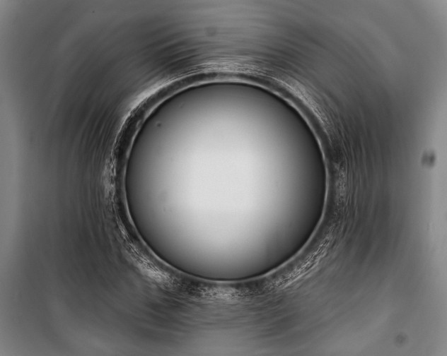 X0000101200971200806271347