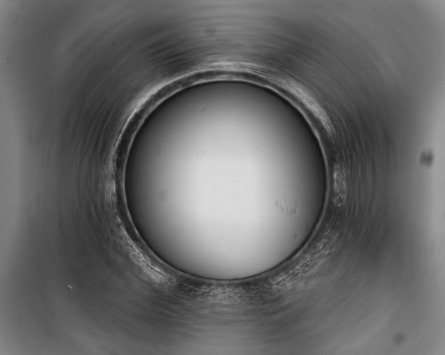 X0000101200972200806271347