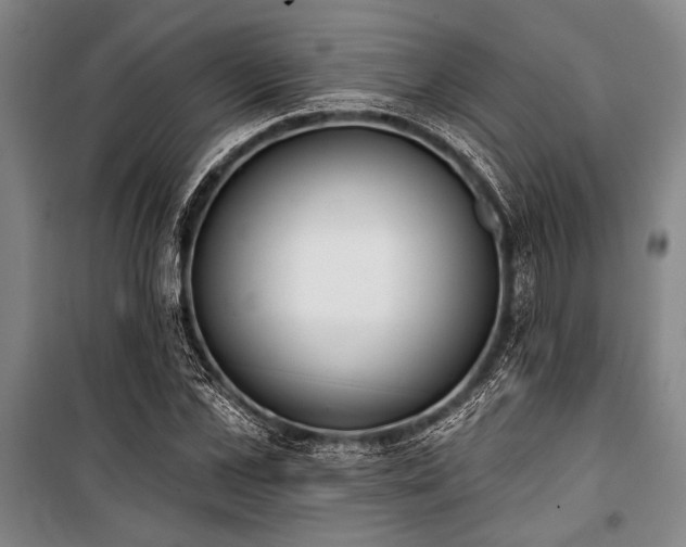 X0000101200973200806271347