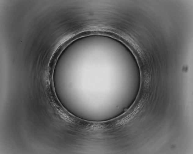 X0000101200974200806271347