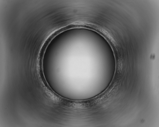 X0000101200976200806271347