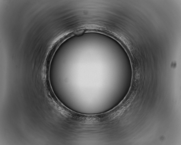 X0000101200979200806271347