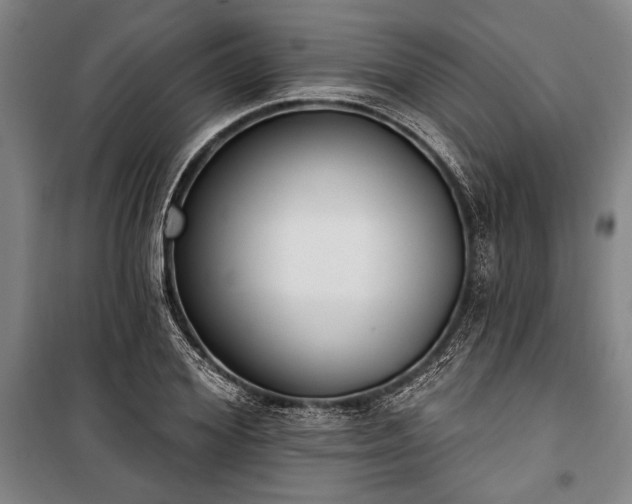 X0000101200980200806271347