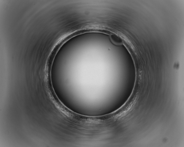 X0000101200981200806271347