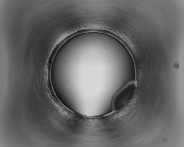 X0000101200982200806271347