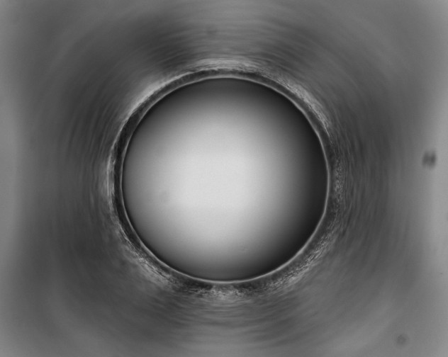 X0000101200983200806271347