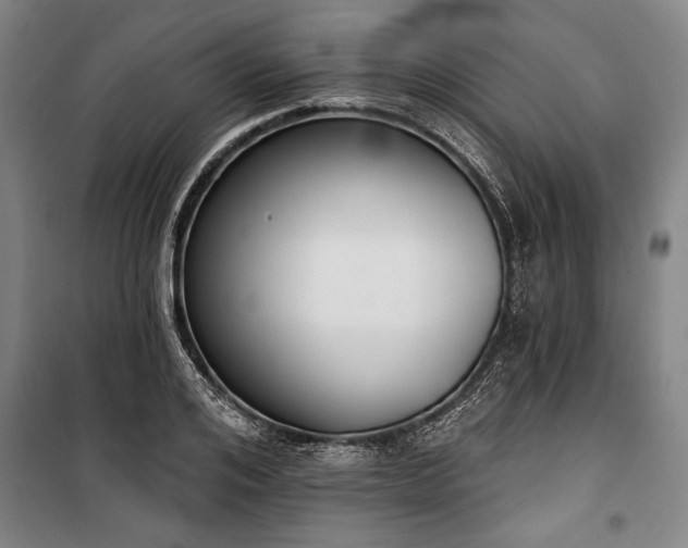 X0000101200984200806271347