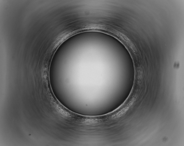 X0000101200985200806271347