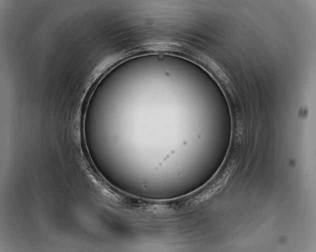 X0000101200986200806271347