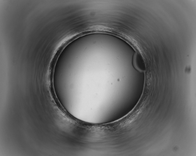X0000101200987200806271347