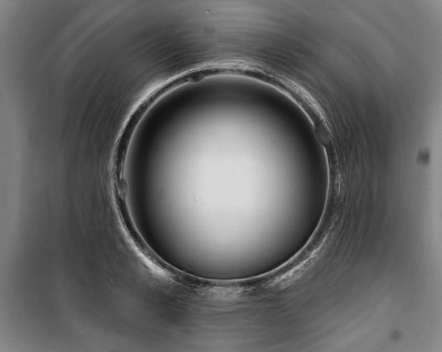 X0000101200989200806271347