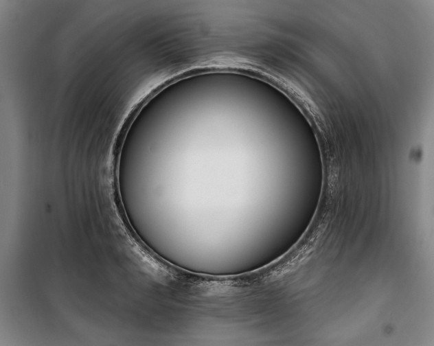 X0000101200990200806271347