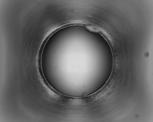 X0000101200991200806271347