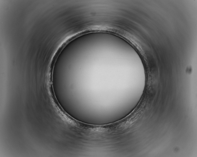 X0000101200992200806271347